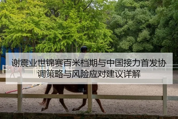 xie-zhen-ye-shi-jin-sai-bai-mi-dang-qi-yu-zhong-guo-jie-li-shou-fa-xie-tiao-ce-lve-yu-feng-xian-ying-dui-jian-yi-xiang-2-987.jpg